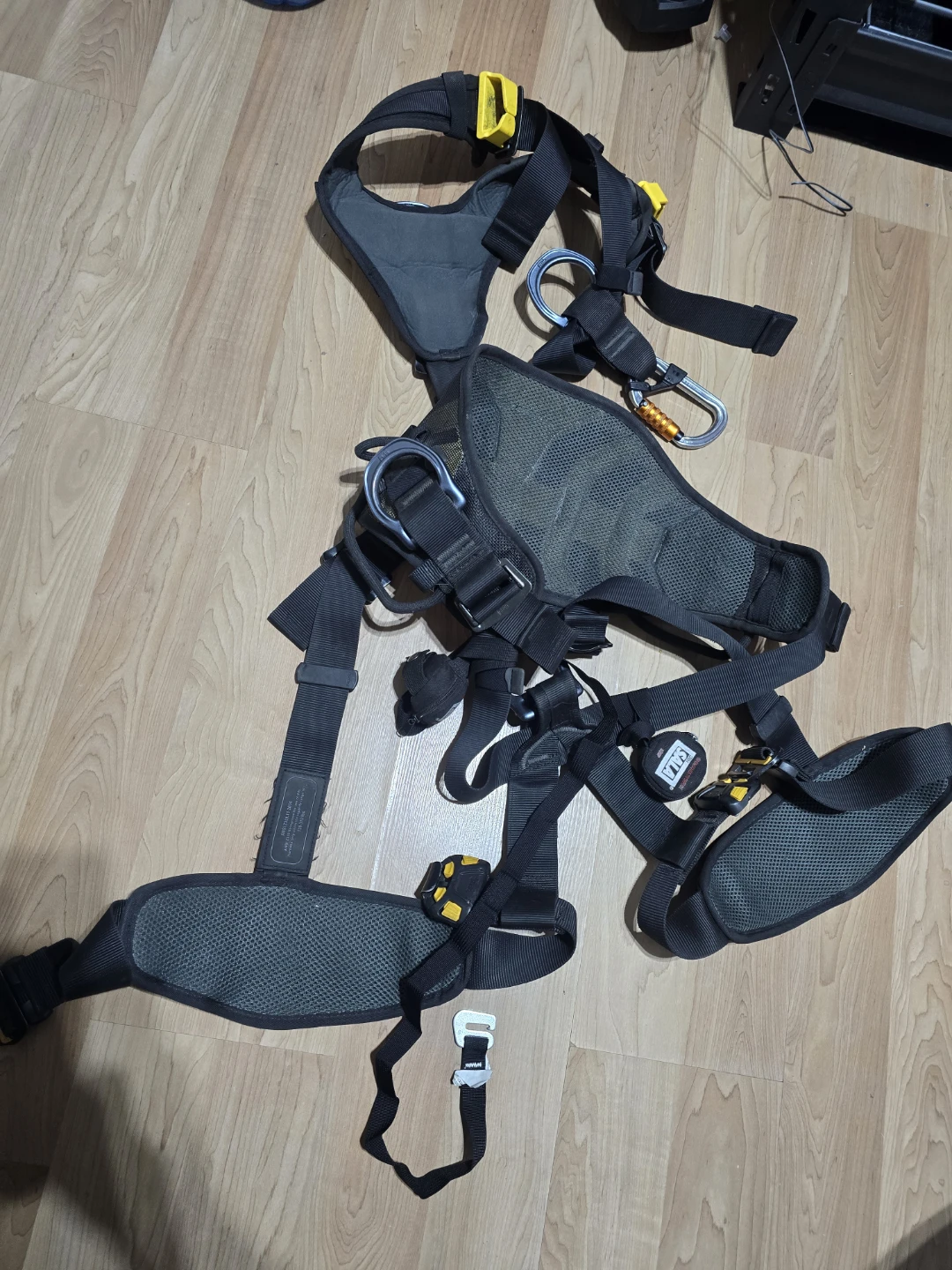 Petzl Absorbica Fall Arrest Lanyard System