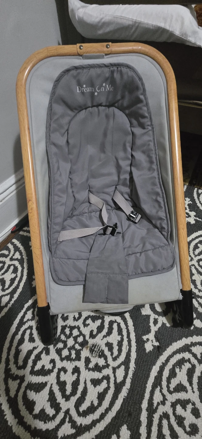Dream On Me Baby Bouncer - photo 3