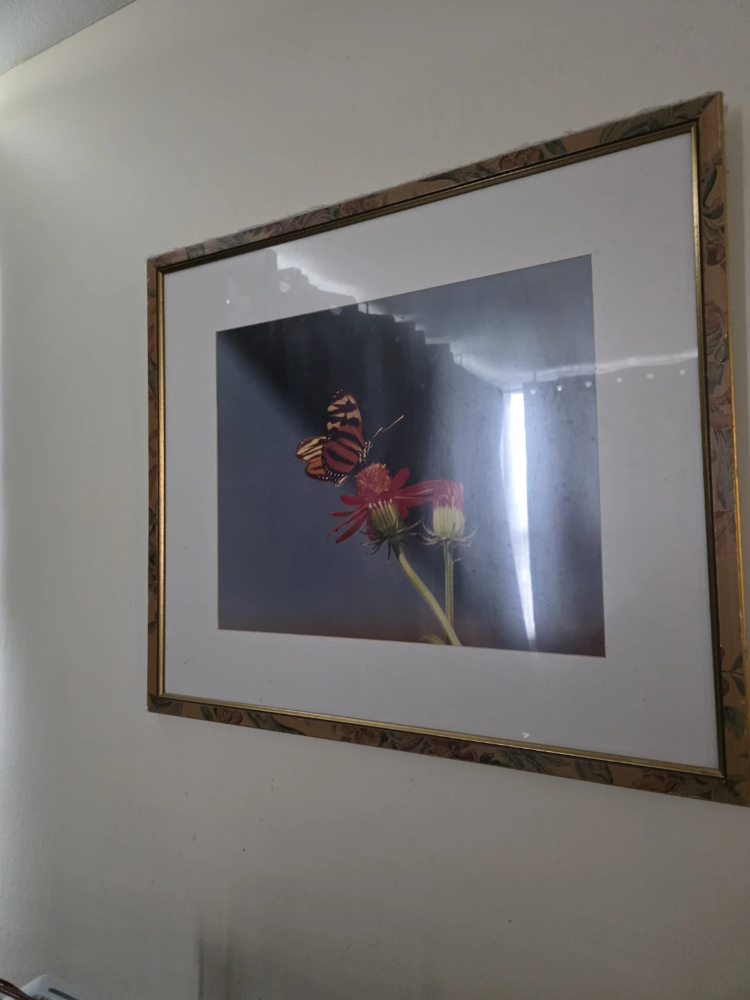 Butterfly picture &frame - photo 2