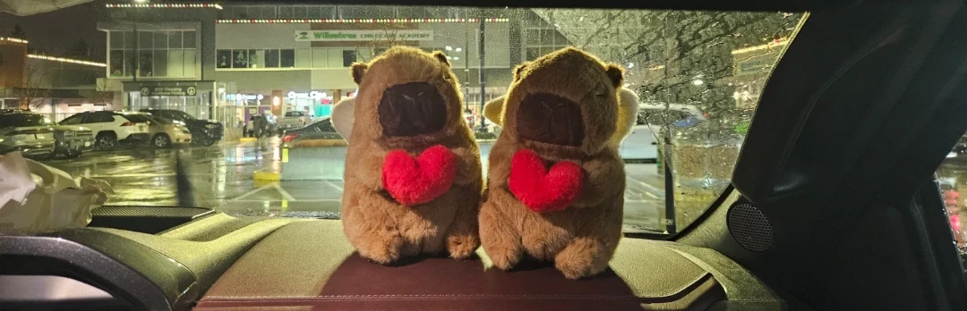 Cute Plush Angel capybara with Heart - photo 5