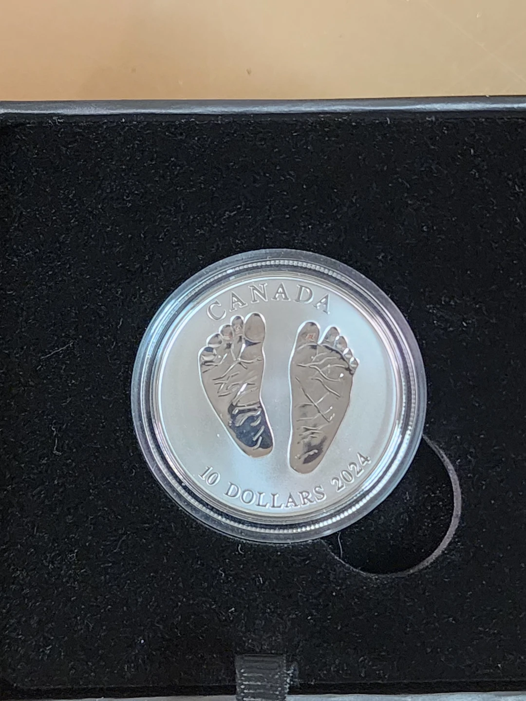 Royal Canadian Mint 2024 $10 Fine Silver Coin - photo 2