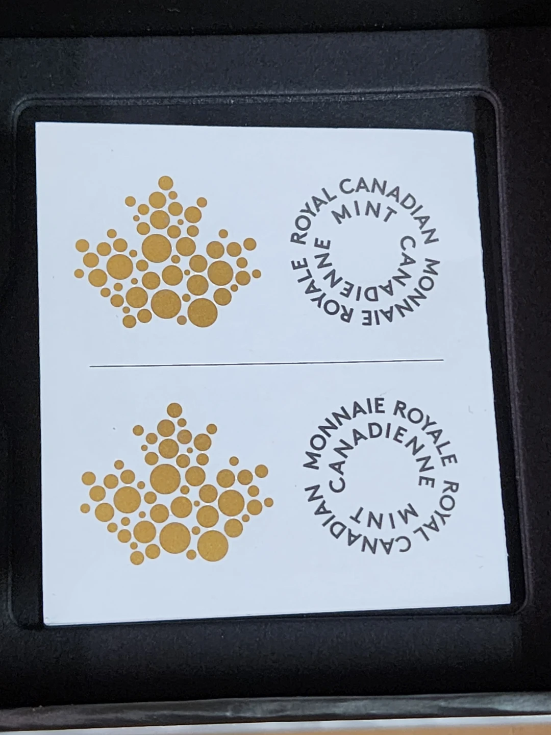 Royal Canadian Mint 2024 $10 Fine Silver Coin - photo 4
