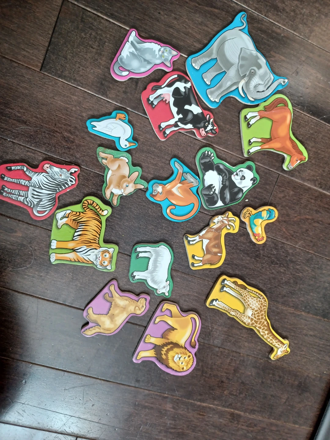 Kids magnets