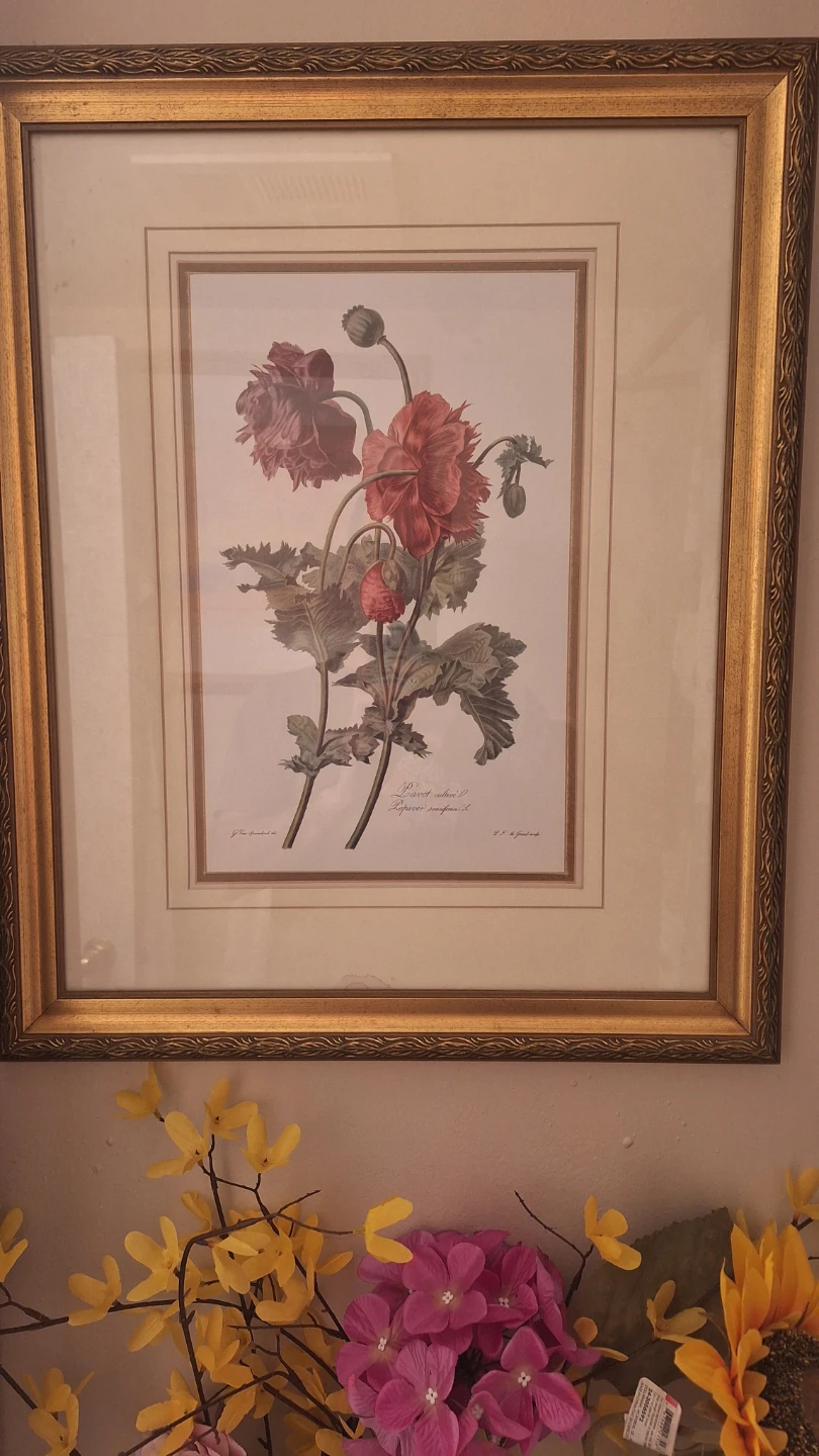 Framed Floral Print