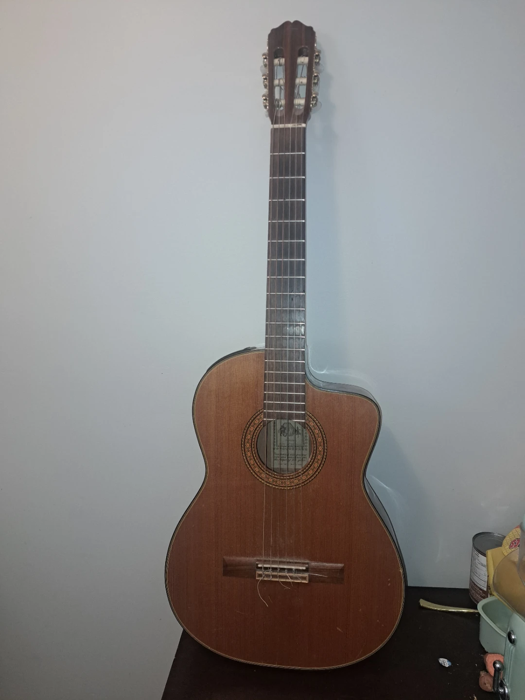 Takamine Acoustic-Electric Guitar with Case