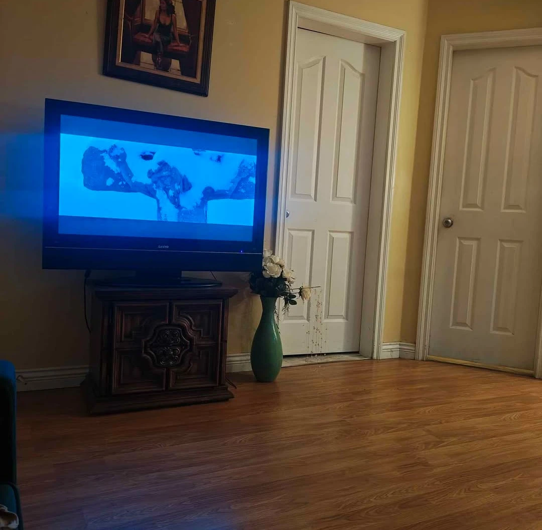 Sanyo TV