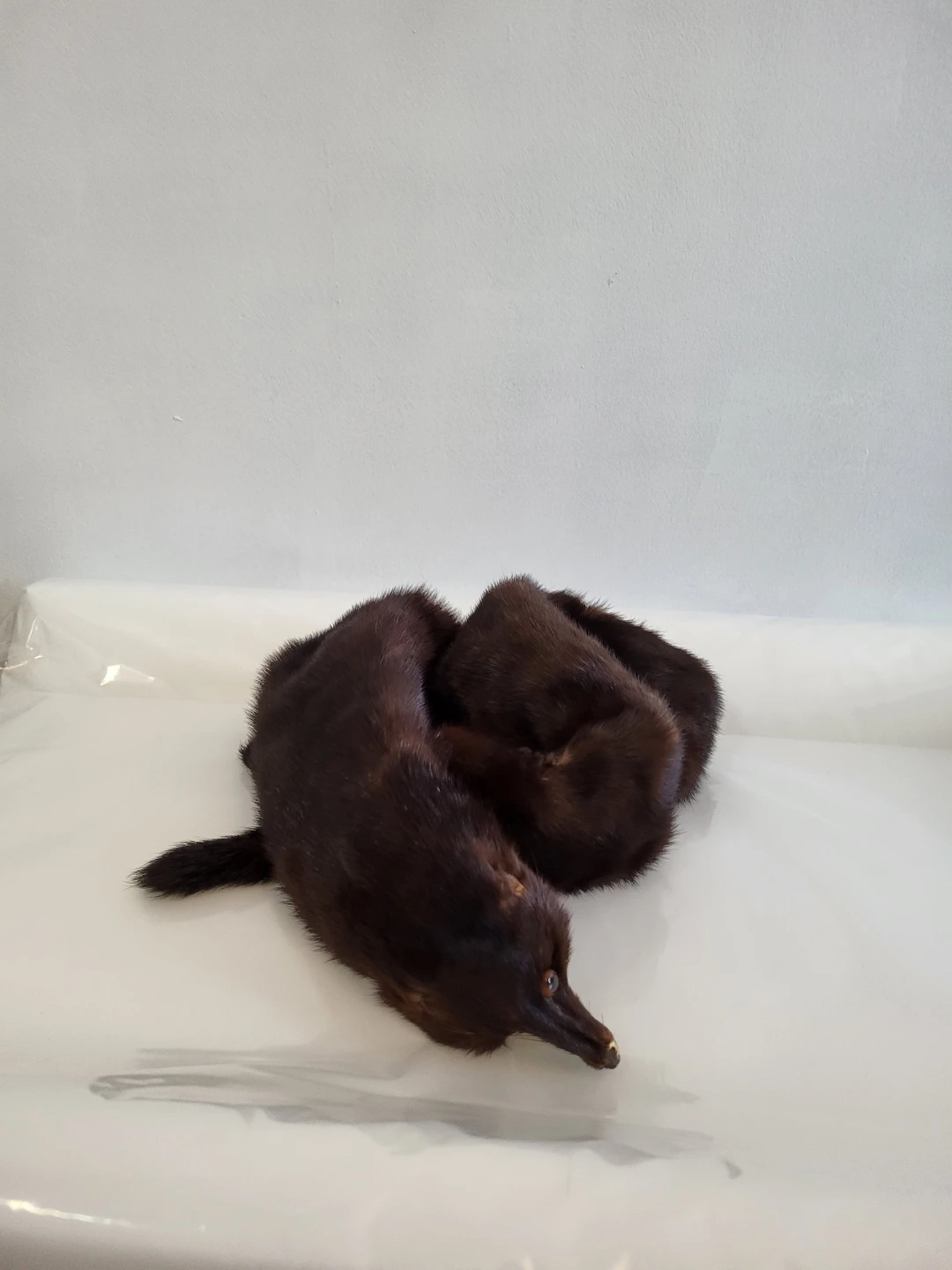 Vintage Mink Fur Stole Scarf - photo 2