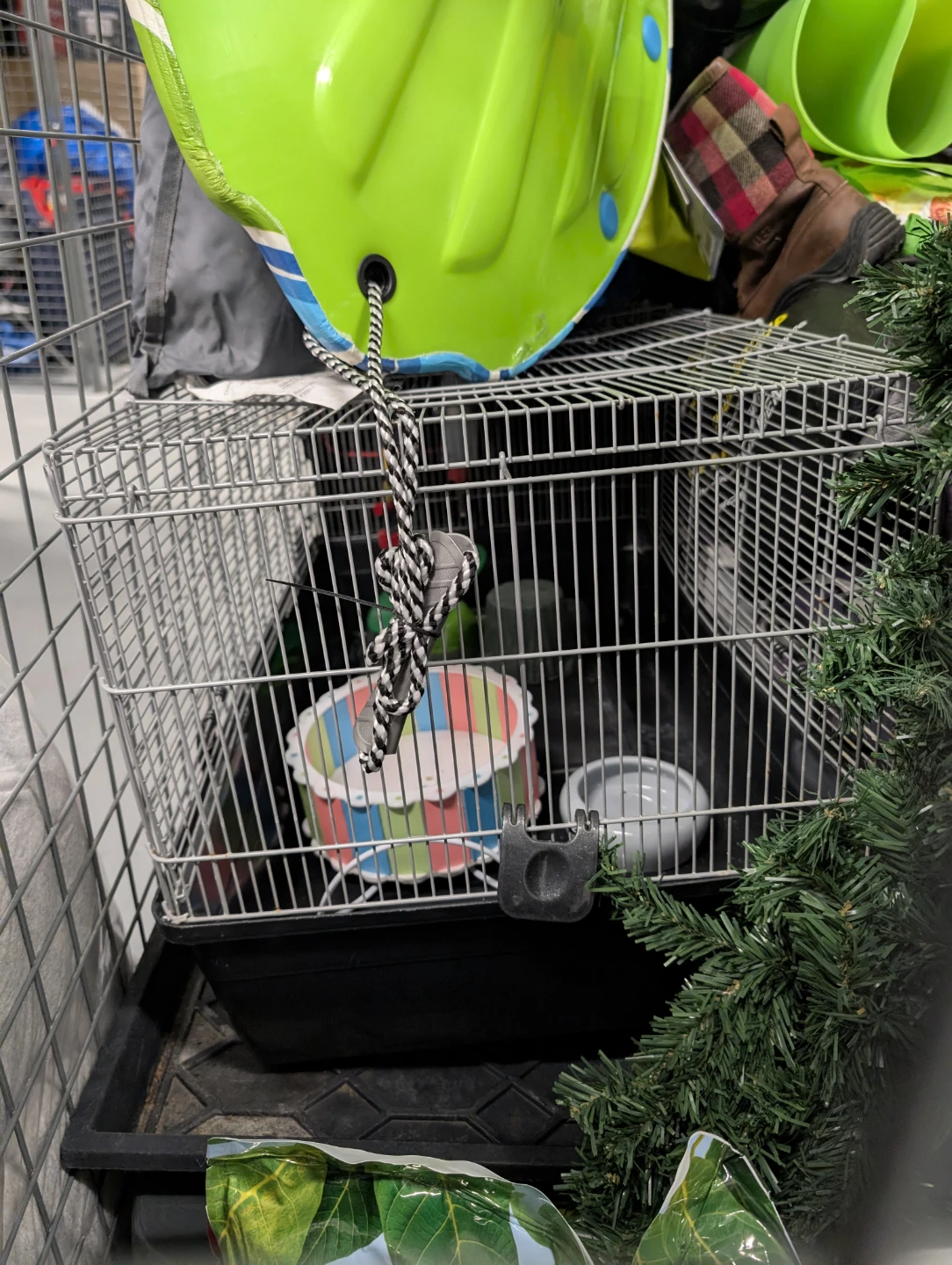 Spacious Hamster Cage with Accessories