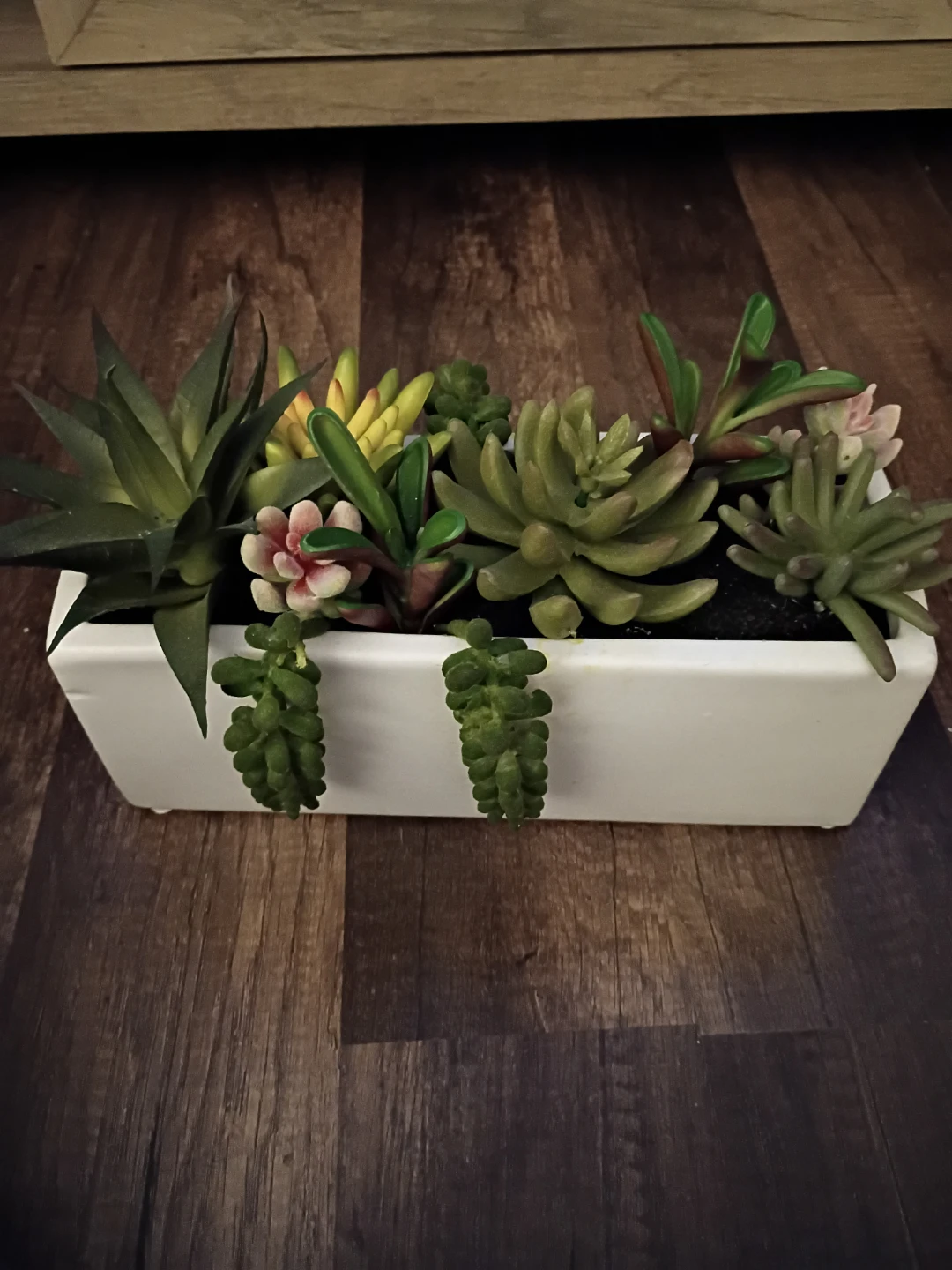 Project 62 Potted Faux Succulent