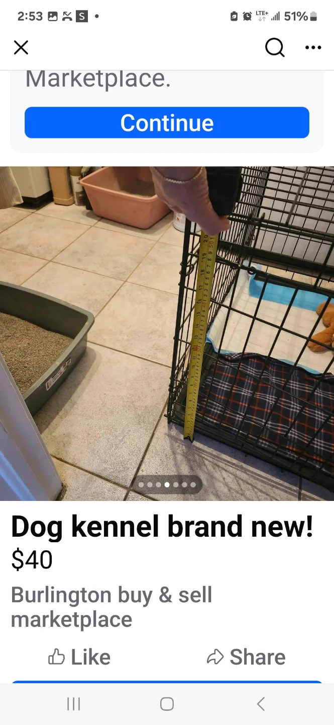 Brand New Dog Kennel - photo 4