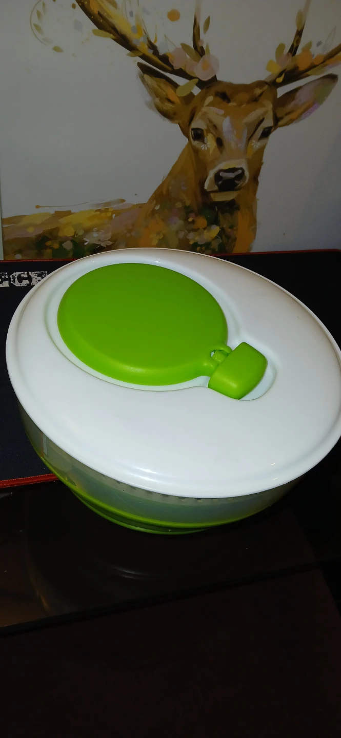 Salad Spinner - Green & White - photo 2