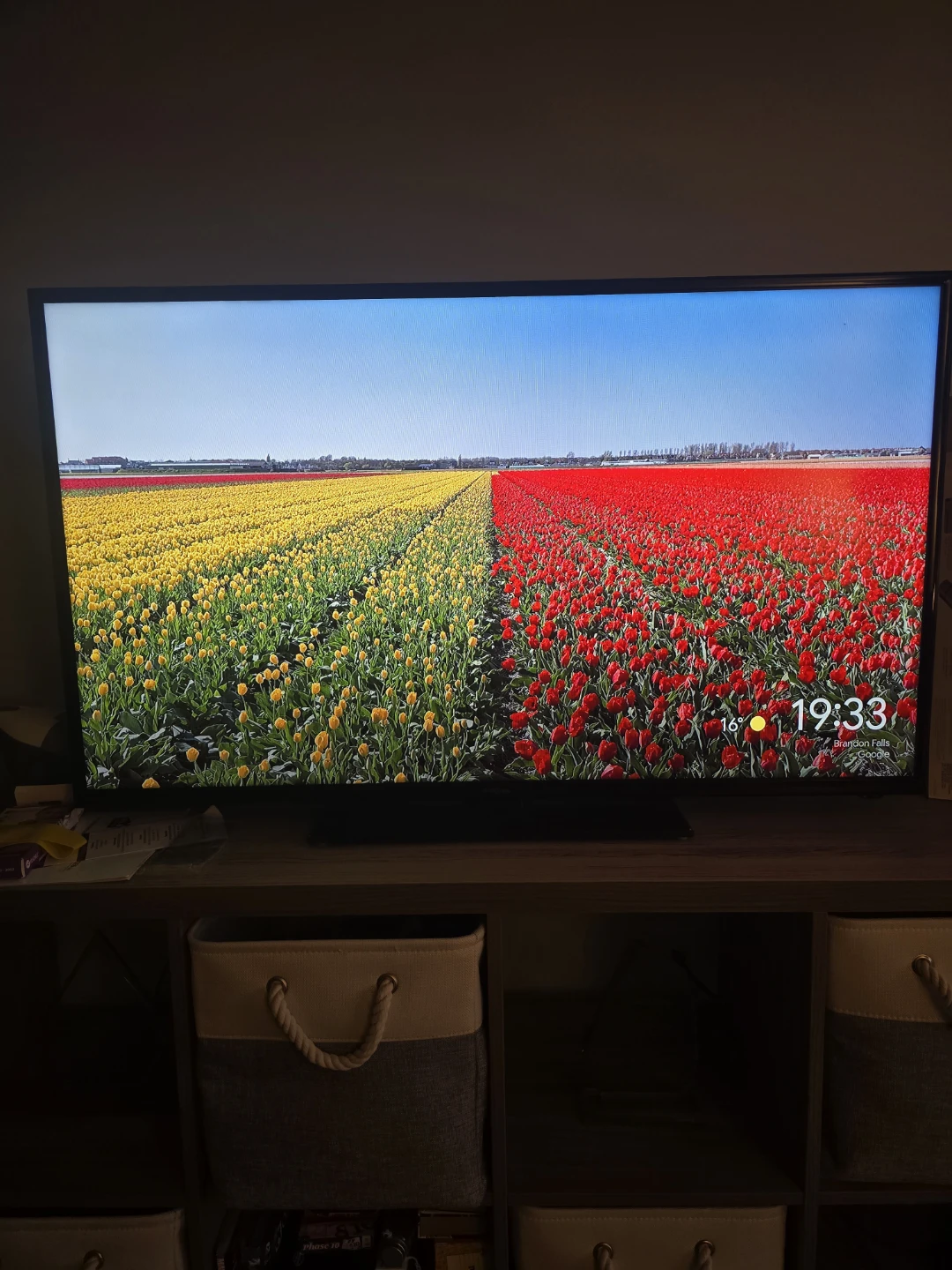 Insignia 48" TV with Chromecast