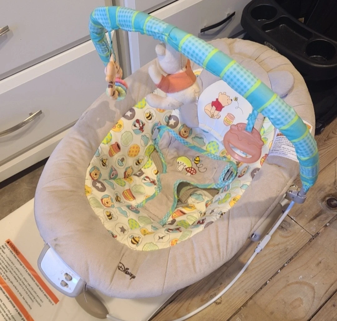 Disney Baby Winnie the Pooh Bouncer