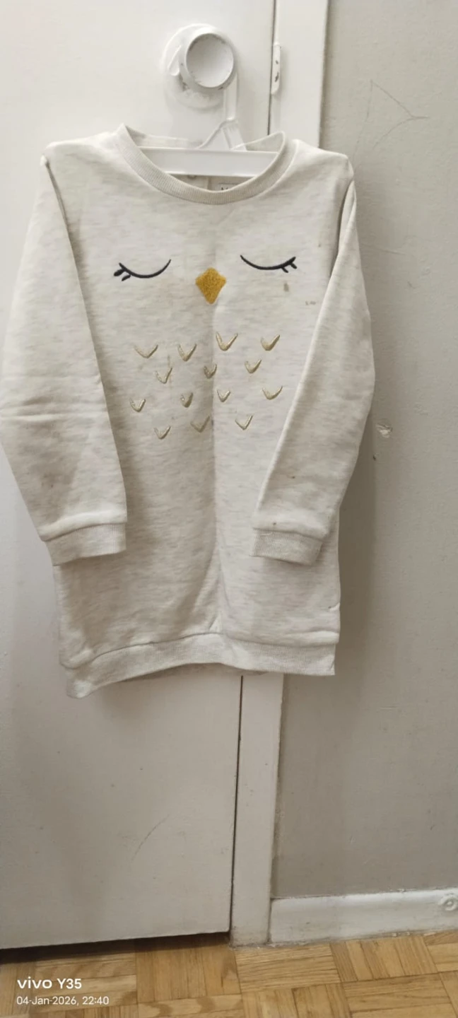 Girl's Owl Sweatshirt Dress
