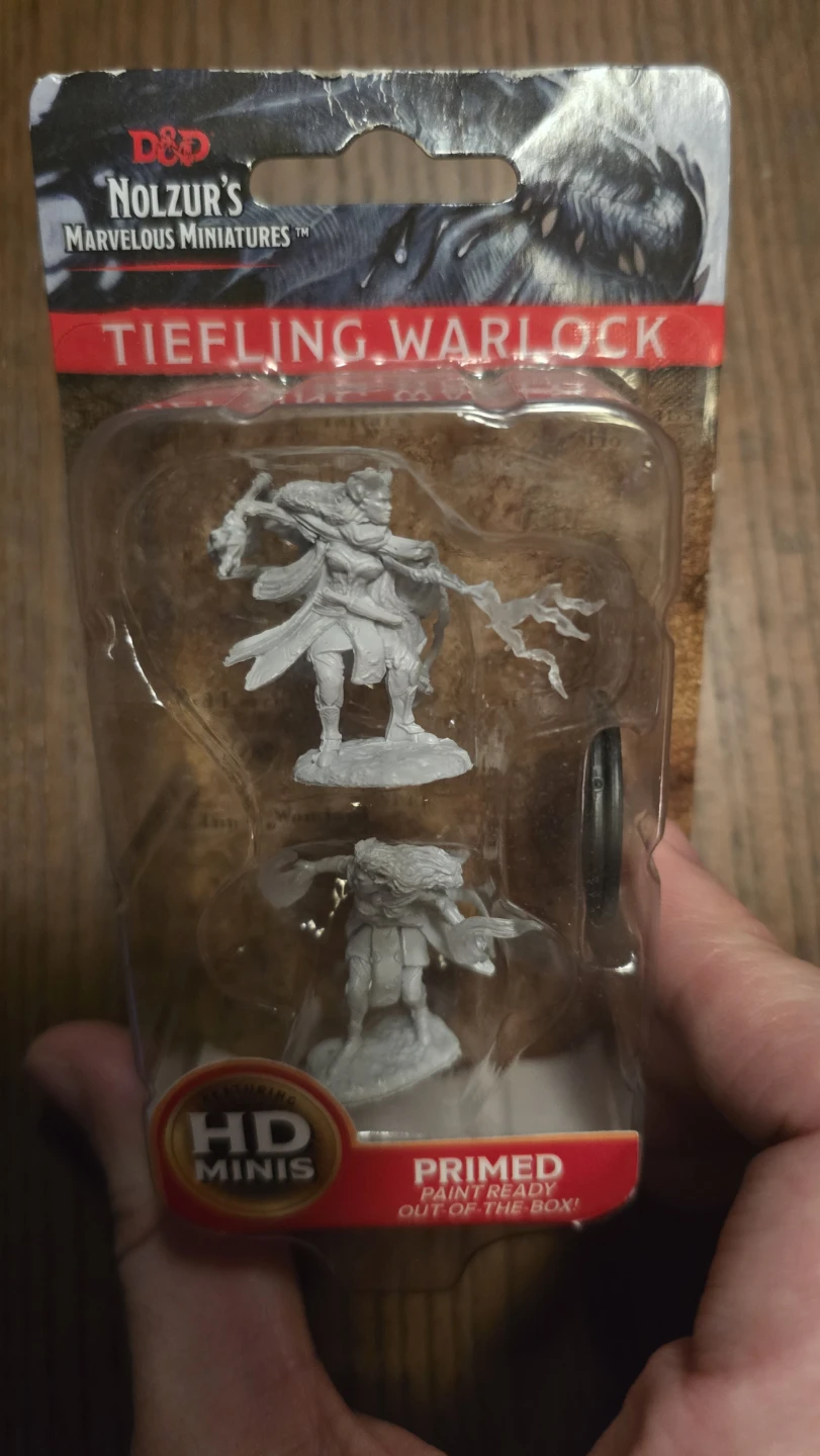 D&D  Miniatures Tiefling Warlock & Familiars