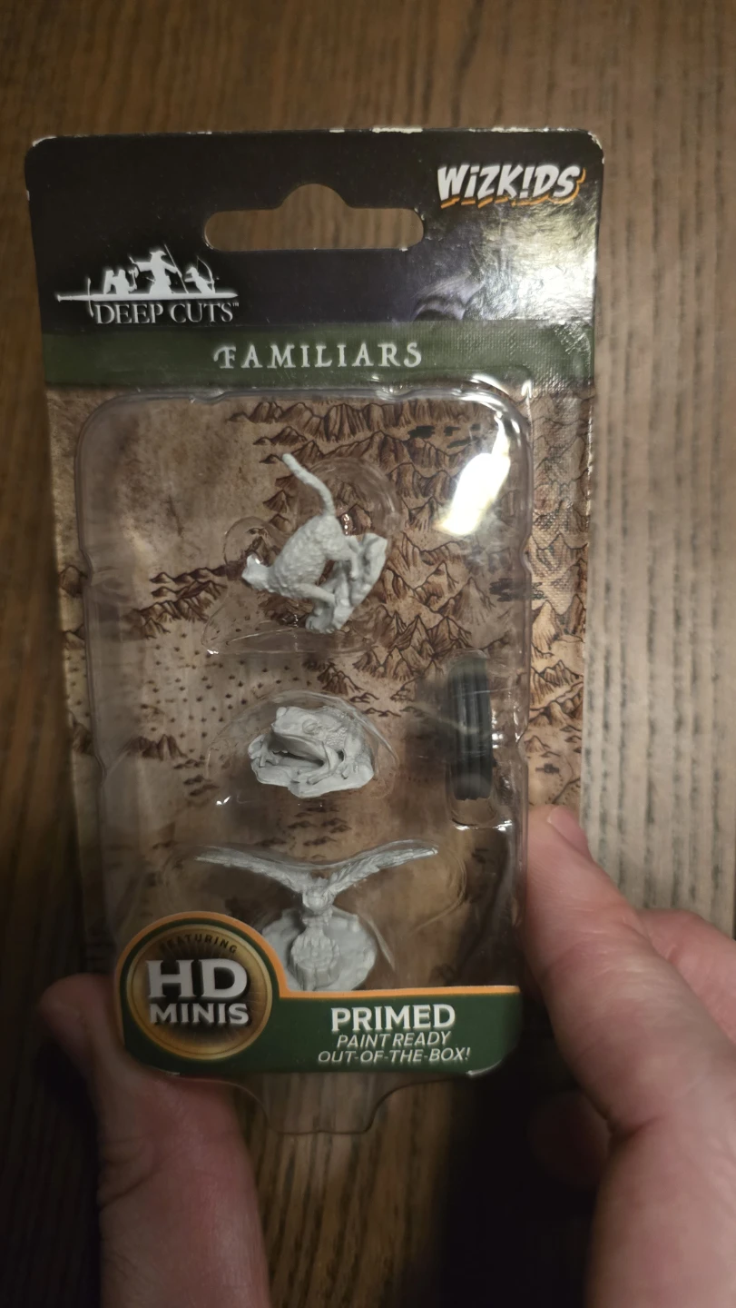 D&D  Miniatures Tiefling Warlock & Familiars - photo 2