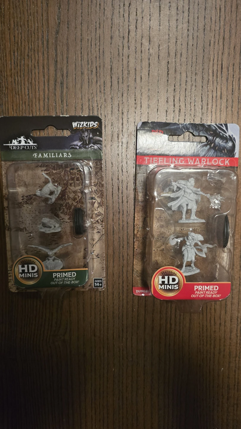 D&D  Miniatures Tiefling Warlock & Familiars - photo 3