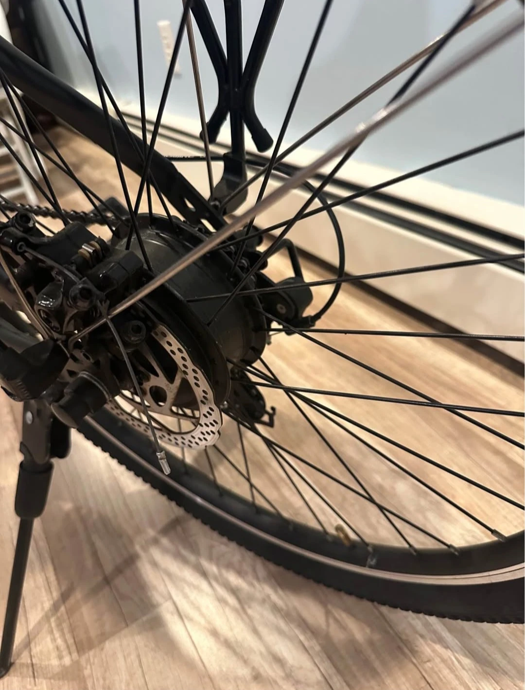 Jasion Electric Bike with Accessories - photo 4