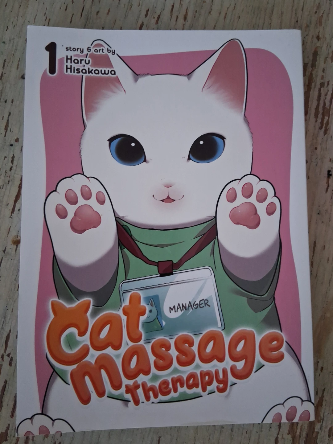 Cat Massage Therapy Vol. 1 Manga