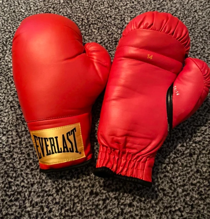Everlast Boxing Gloves - 14 oz - photo 2