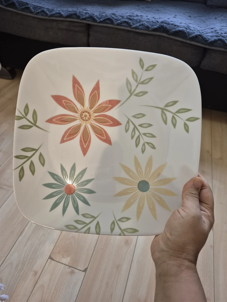 Corolla chip resistant dinner plates - photo 4