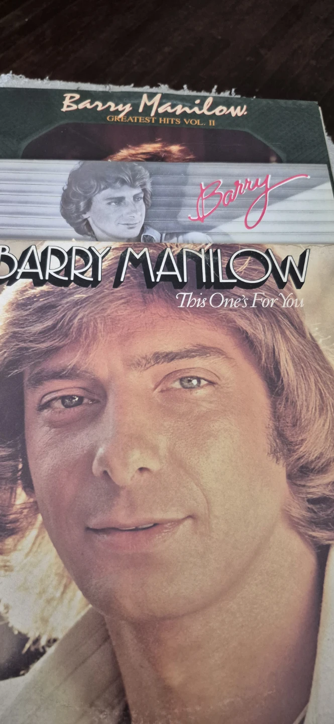 Neil Diamond, Gordon Lightfoot, Barry Manilow Vinyl Records - photo 2
