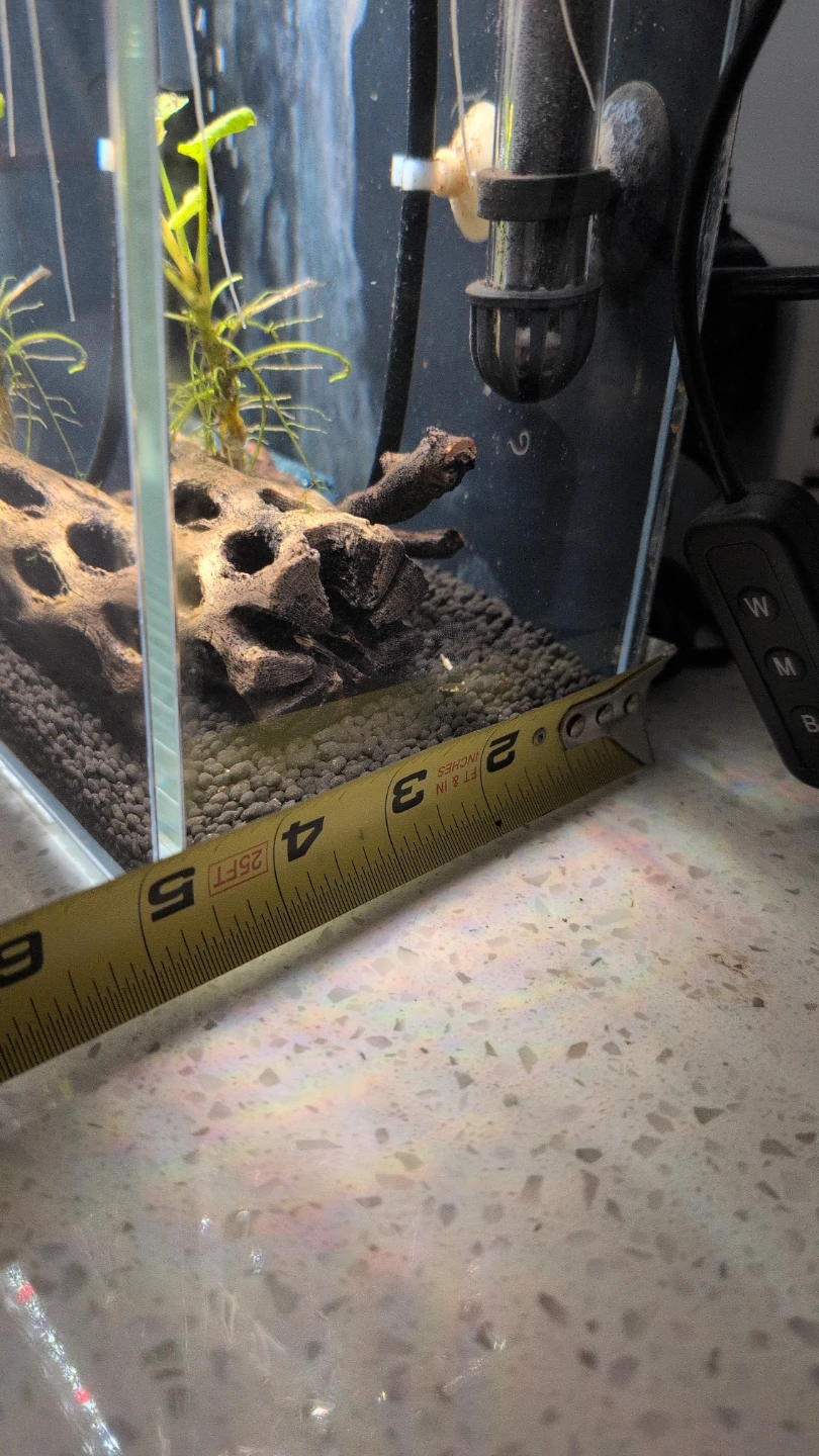 Aquarium with Filter and Heater - photo 4