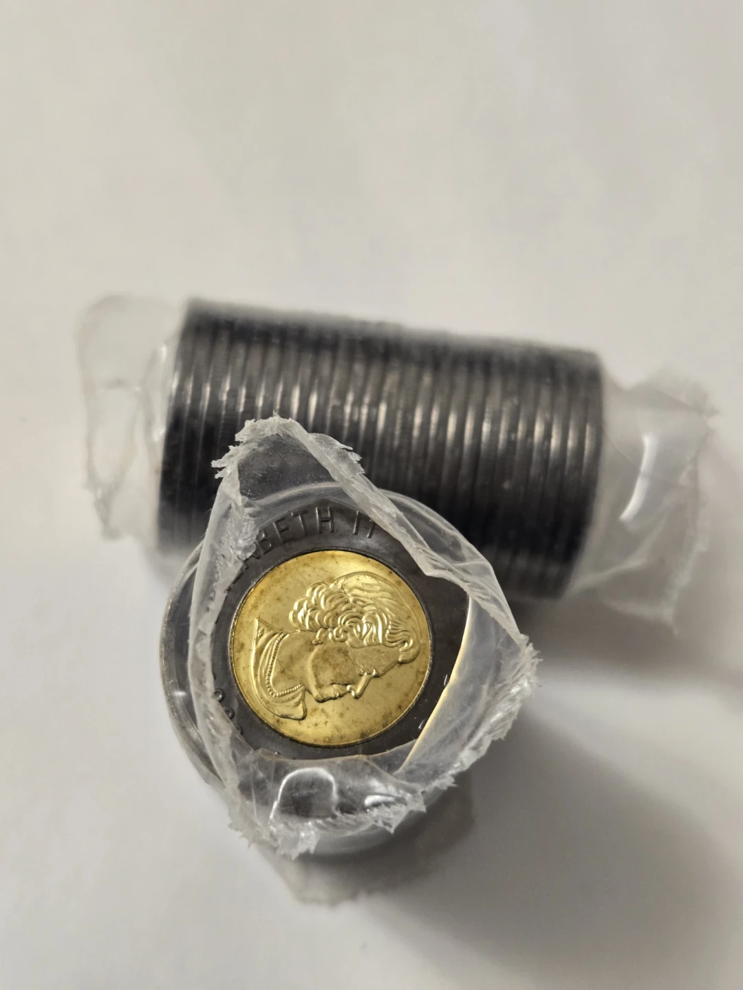 Roll of Canadian Loonie Coins - photo 2