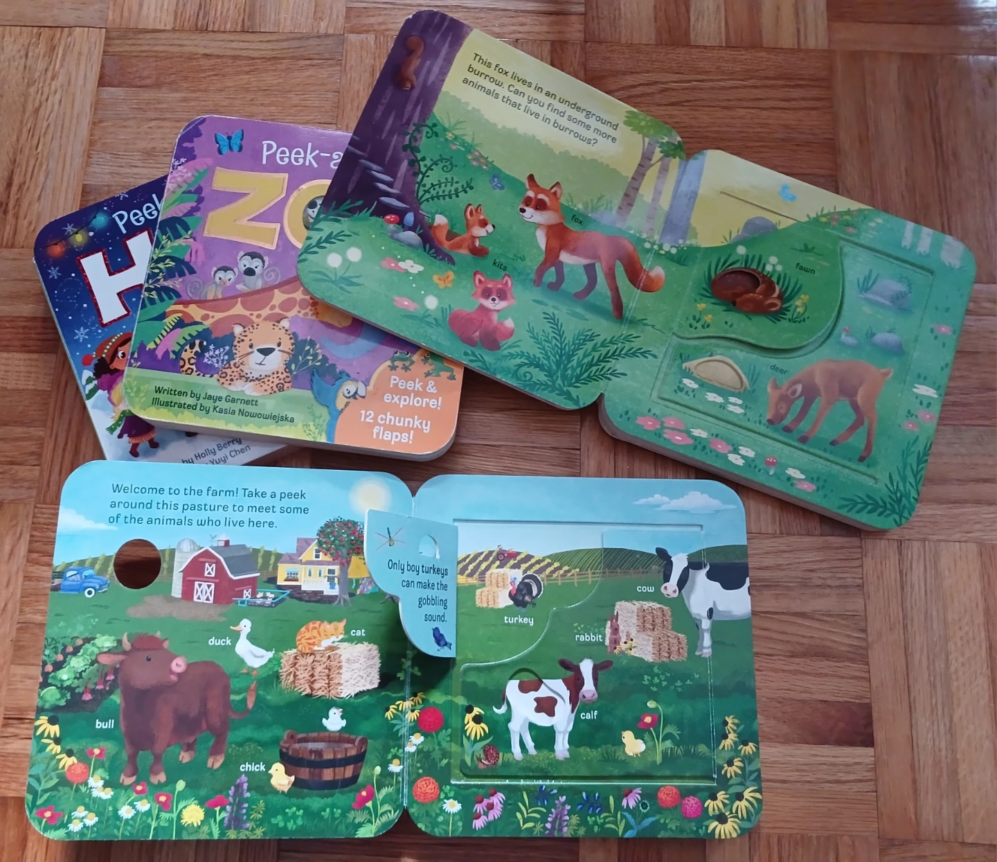4 Peek-a-Flap Children's Board Books - Zoo, Who, Moo, Ho Ho Ho - photo 2