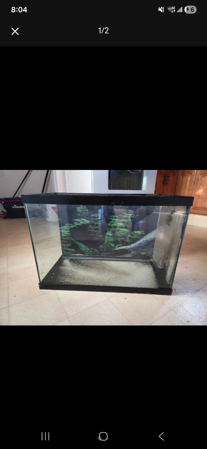 Aquarium Tank and LED Light Fixture 10 and 20 gallons - photo 2