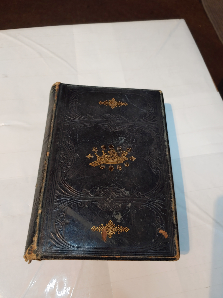 Abbott's Illustrated New Testament with Notes John Abbott 1878