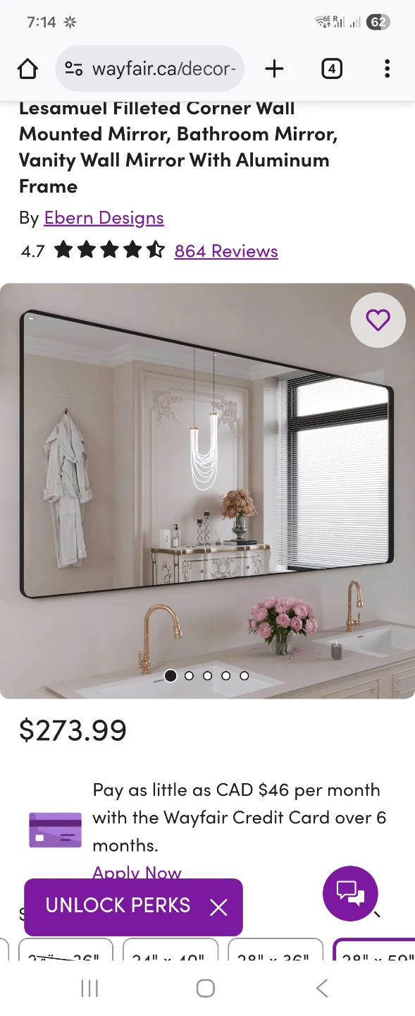 Wall Mounted Large Black Mirror 28 x 59
