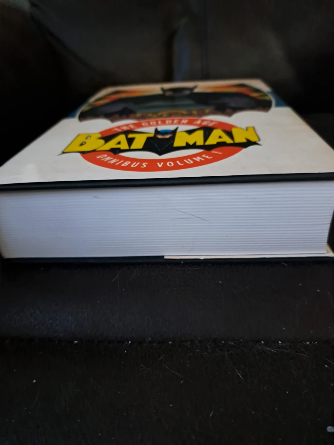 Batman The Golden Age Omnibus Volume 1 - photo 3