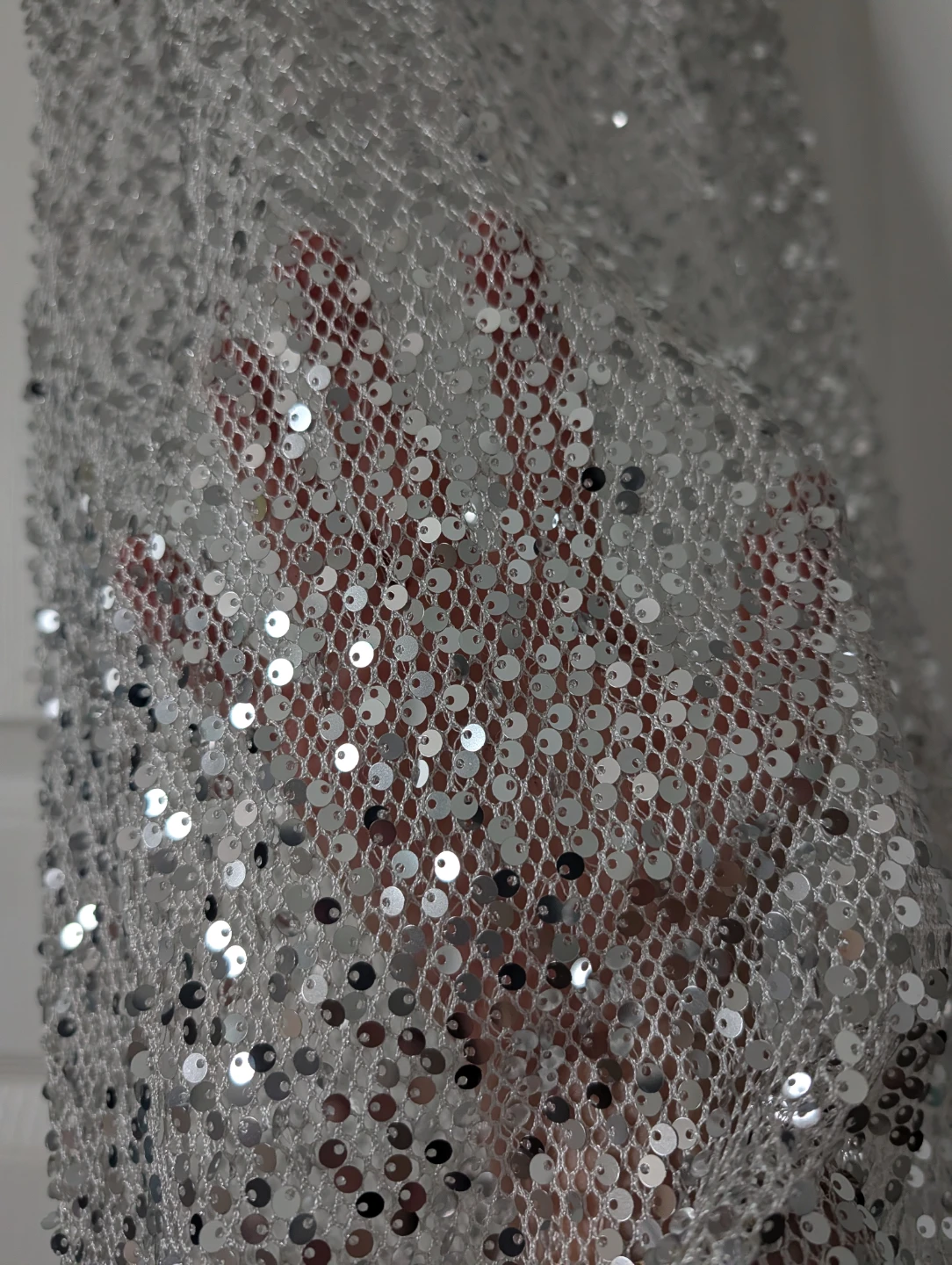 Silver Sequin Maxi Dress - photo 2