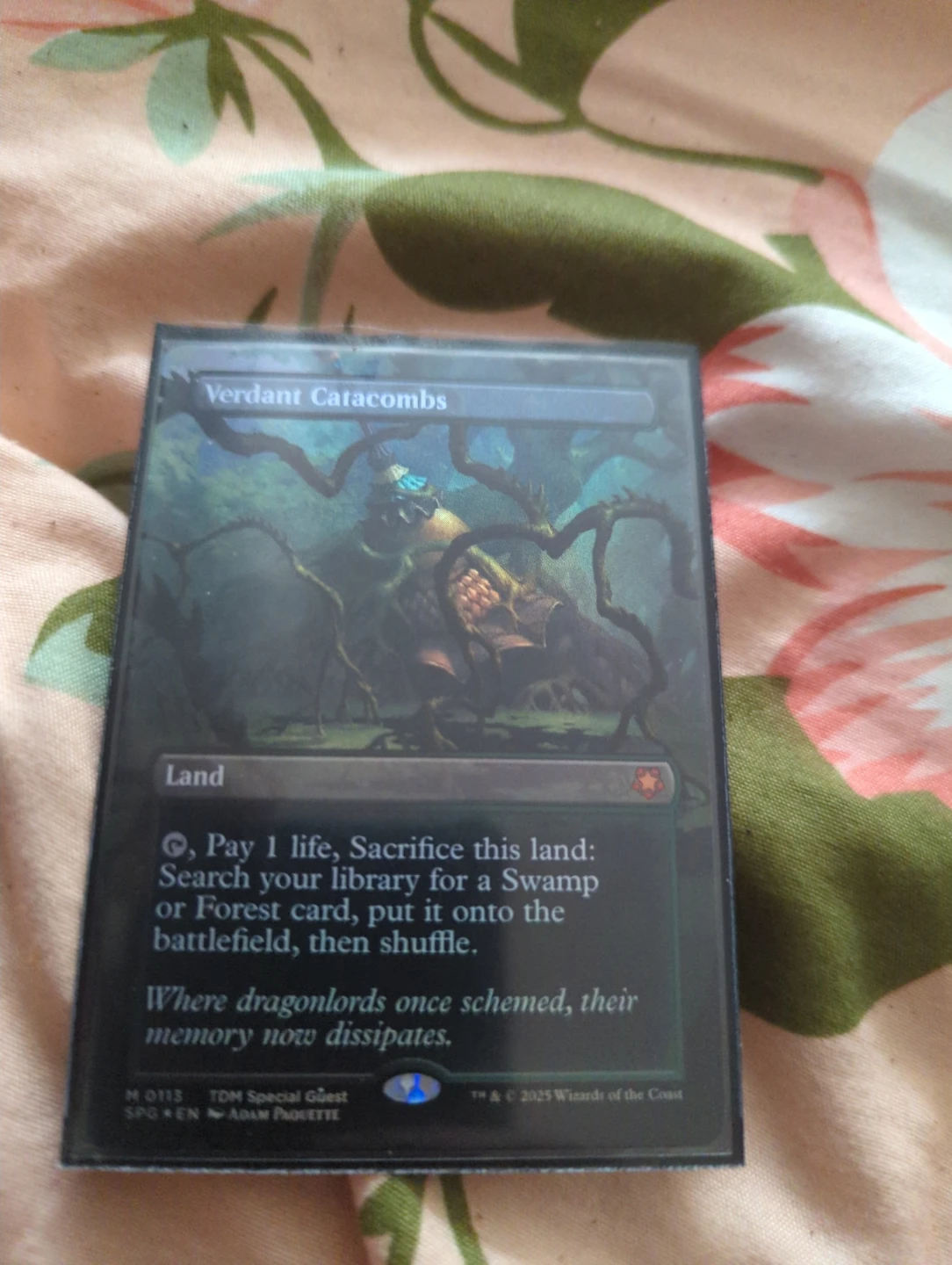 Verdant Catacombs - Magic The Gathering Card