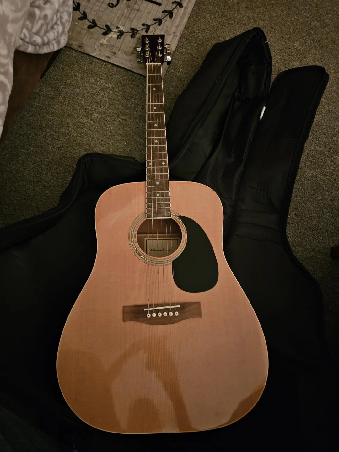 Spectrum AIL 123A Acoustic Guitar