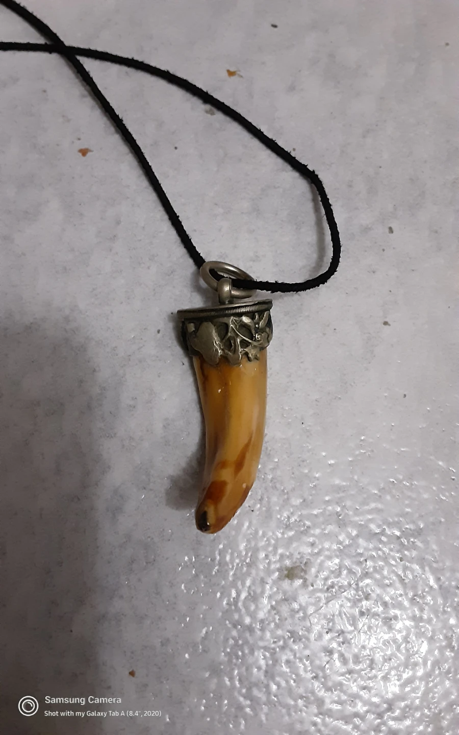 Animal tusk  Pendant Necklace, Silver holder - photo 2