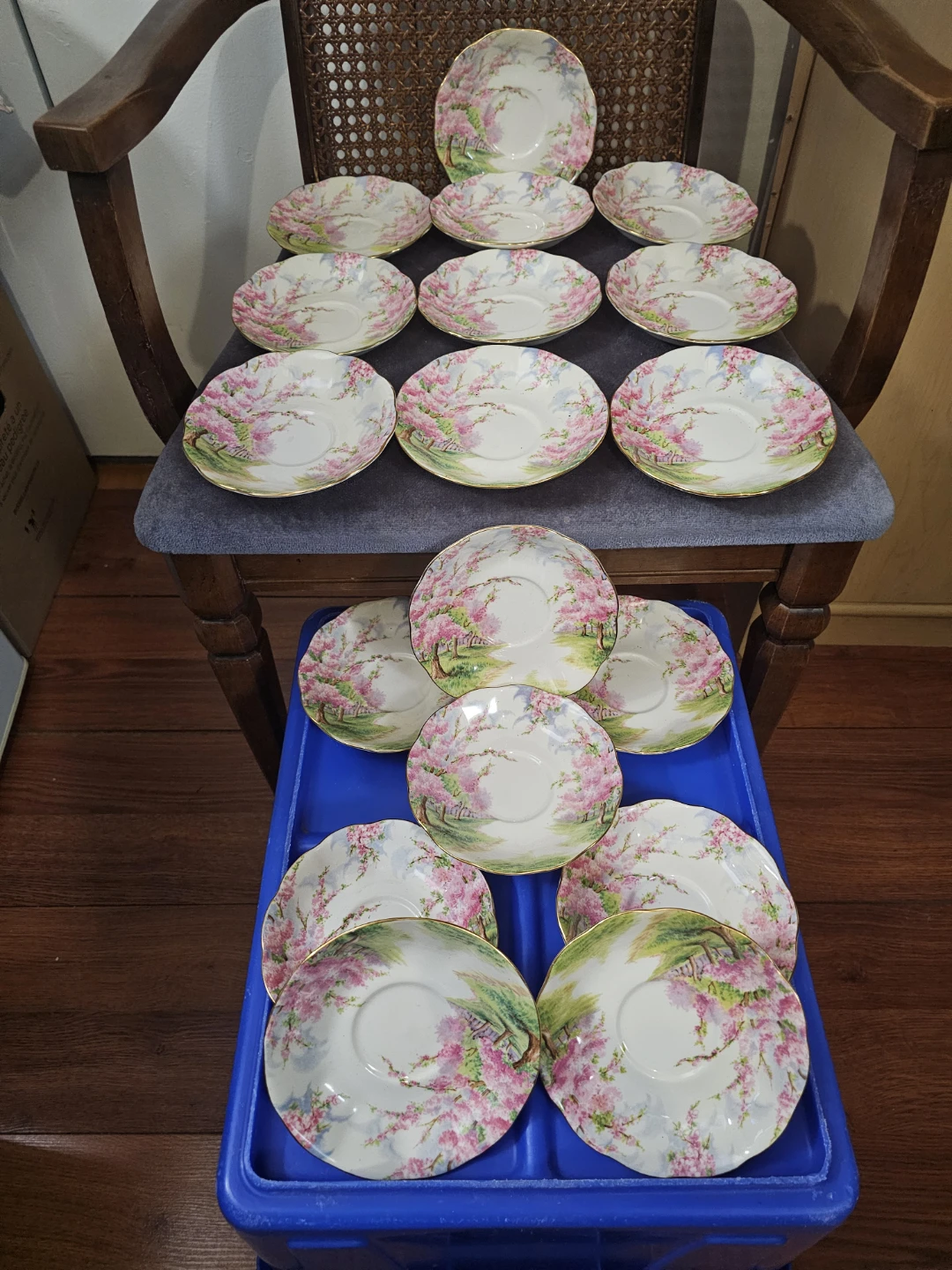Royal Albert Blossom Time Saucers Set of 18