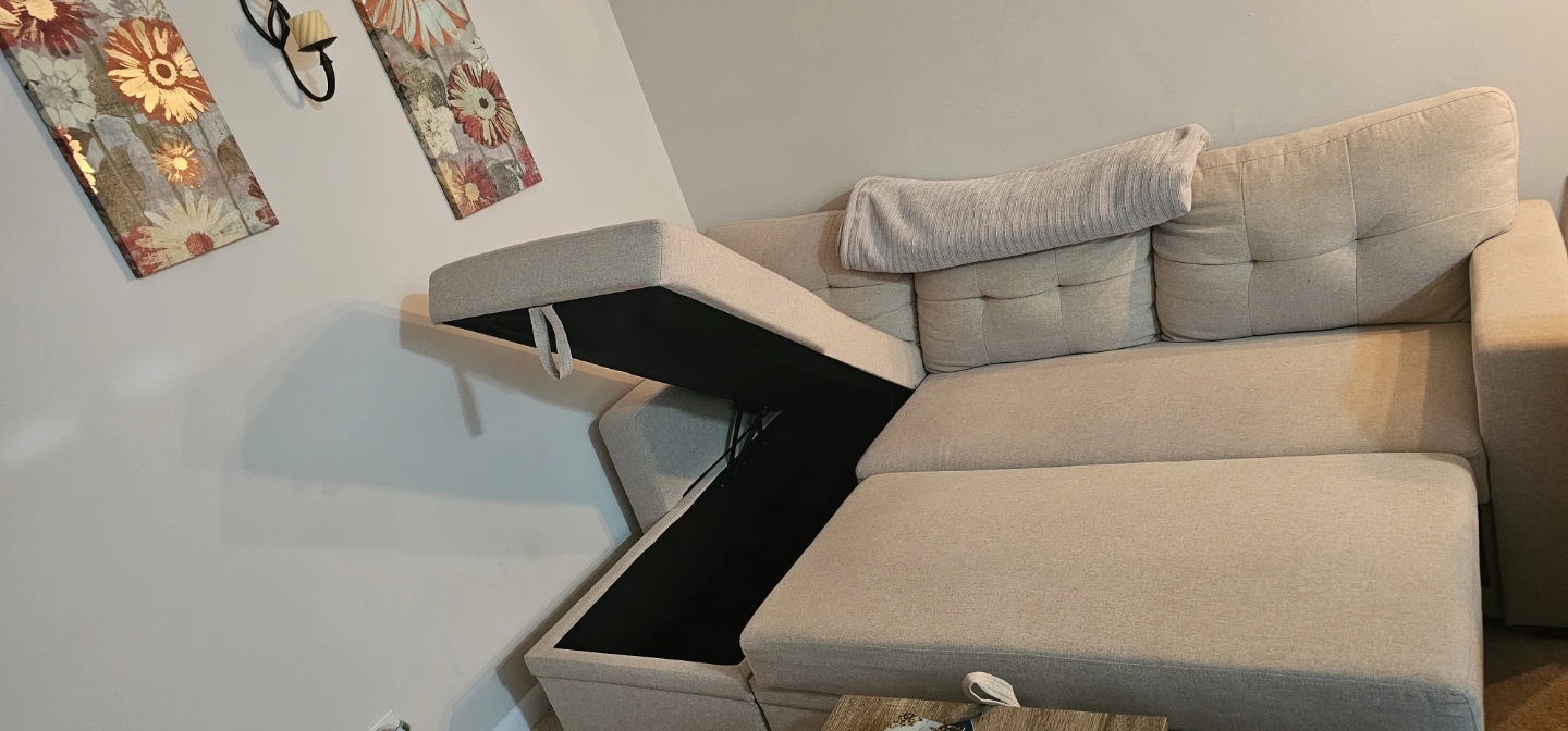 Beige Sleeper Sectional Sofa with Storage - photo 4