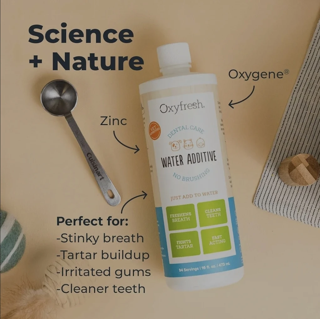 Pet Dental Care - photo 2