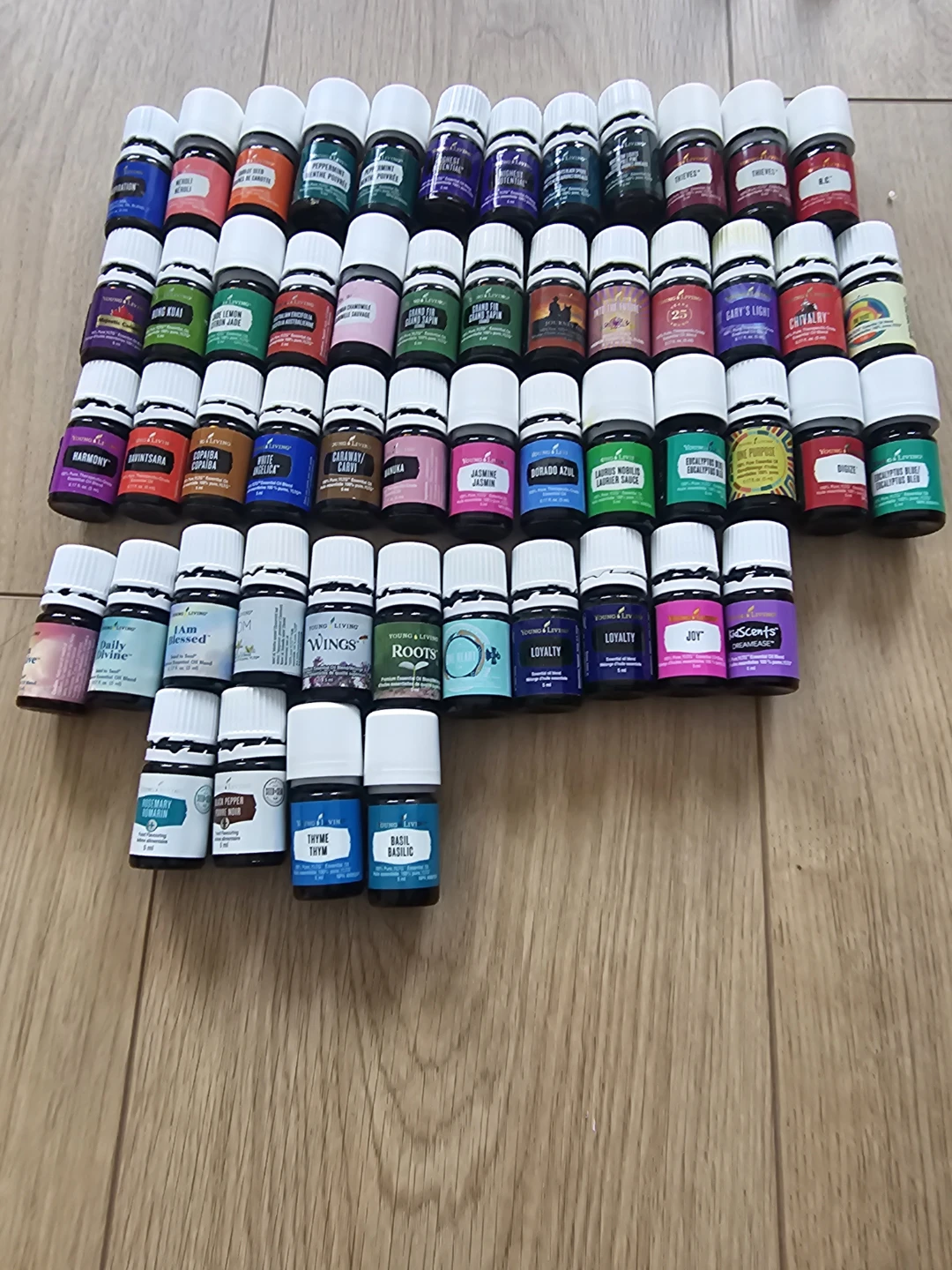 Young Living Essential Oils Collection (50+ Bottles)
