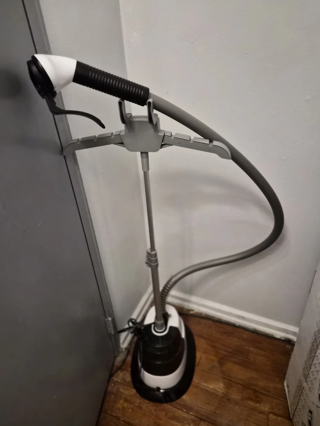 Garment Steamer