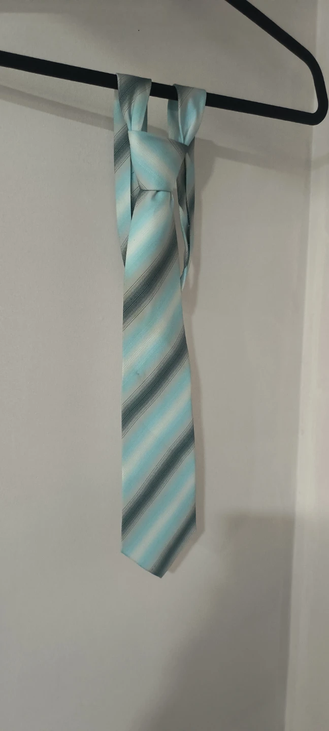 Brettoniz Striped Necktie