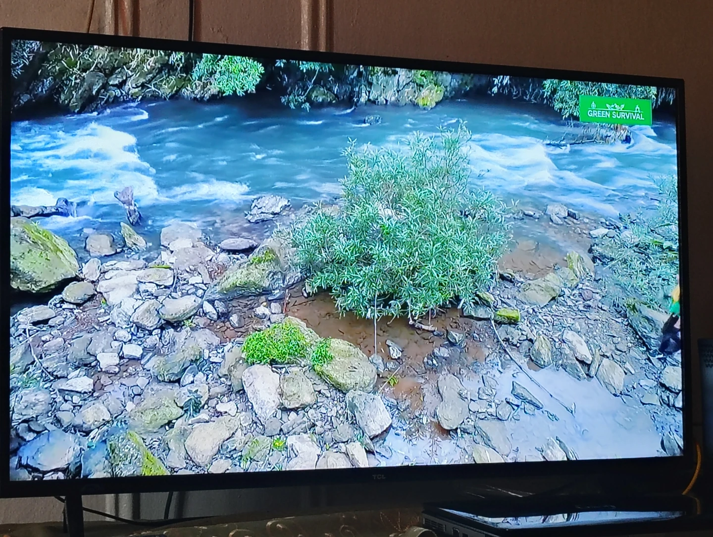 TCL Smart TV - photo 5