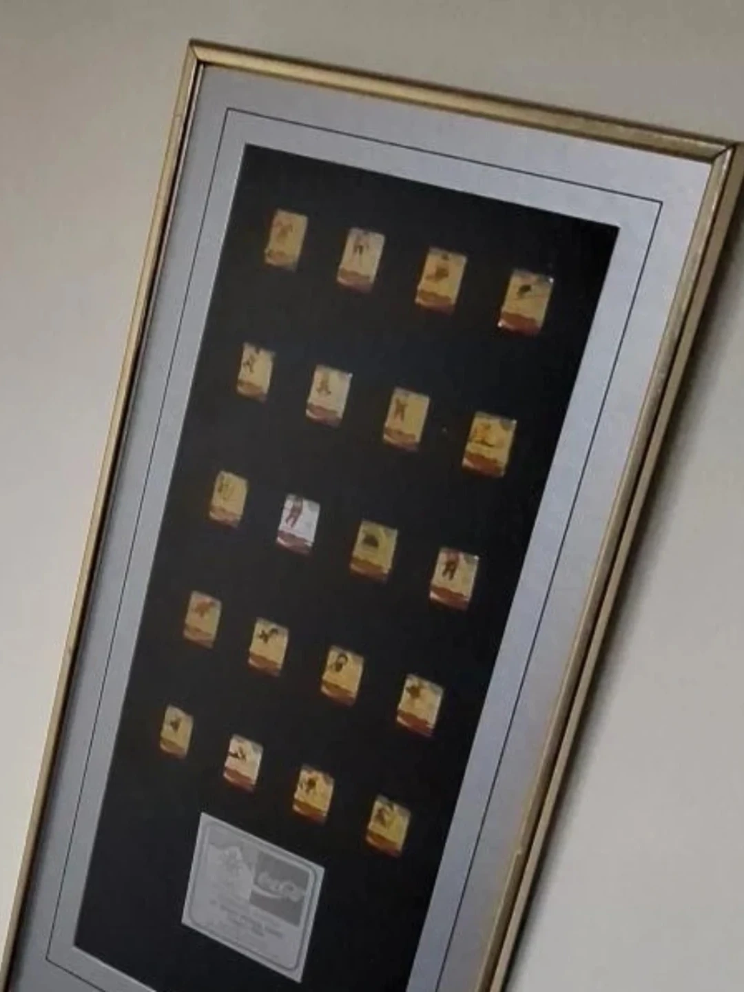 Coca-Cola Framed Collectible Can Display