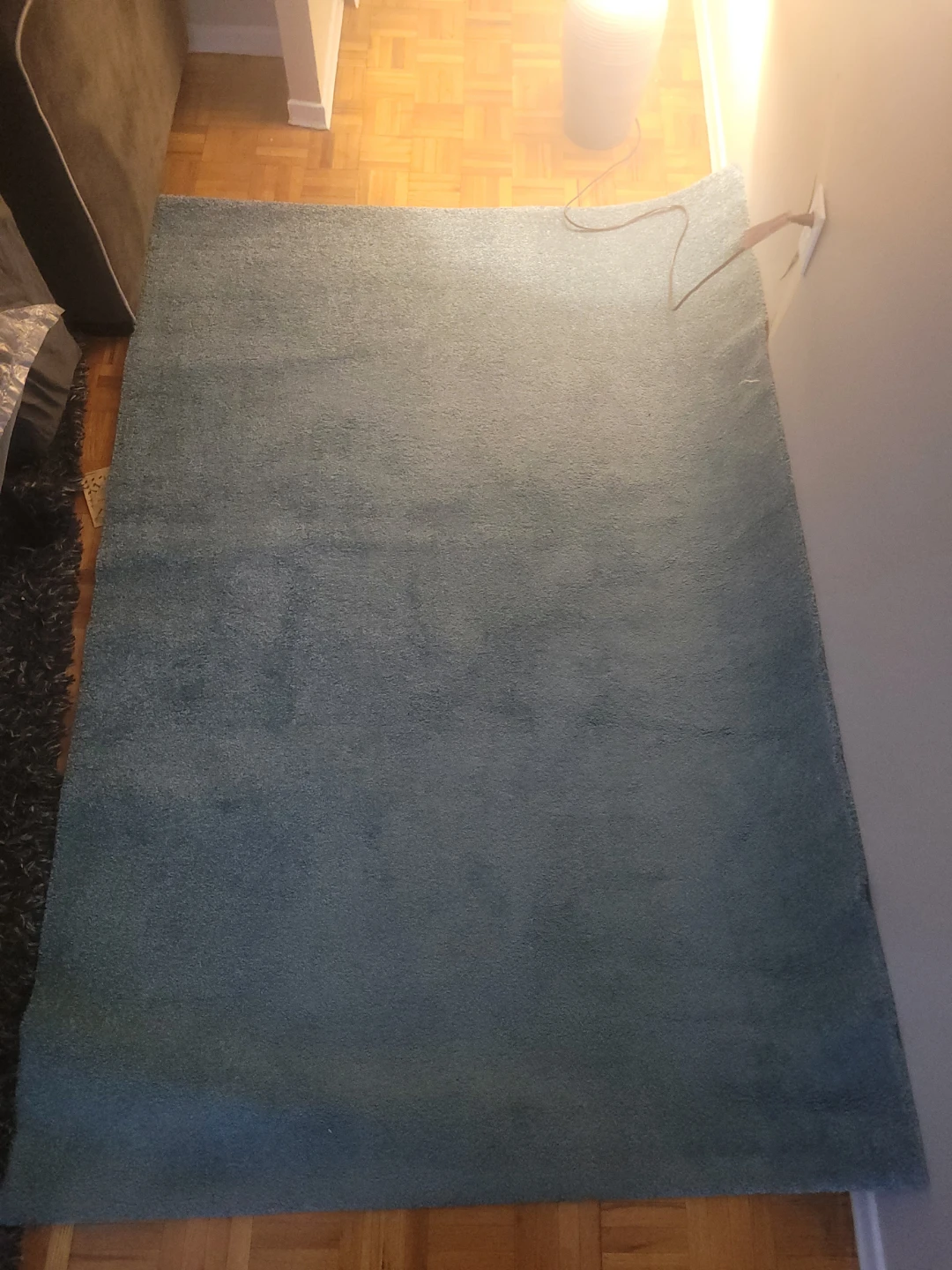 Ikea Blue Area Rug