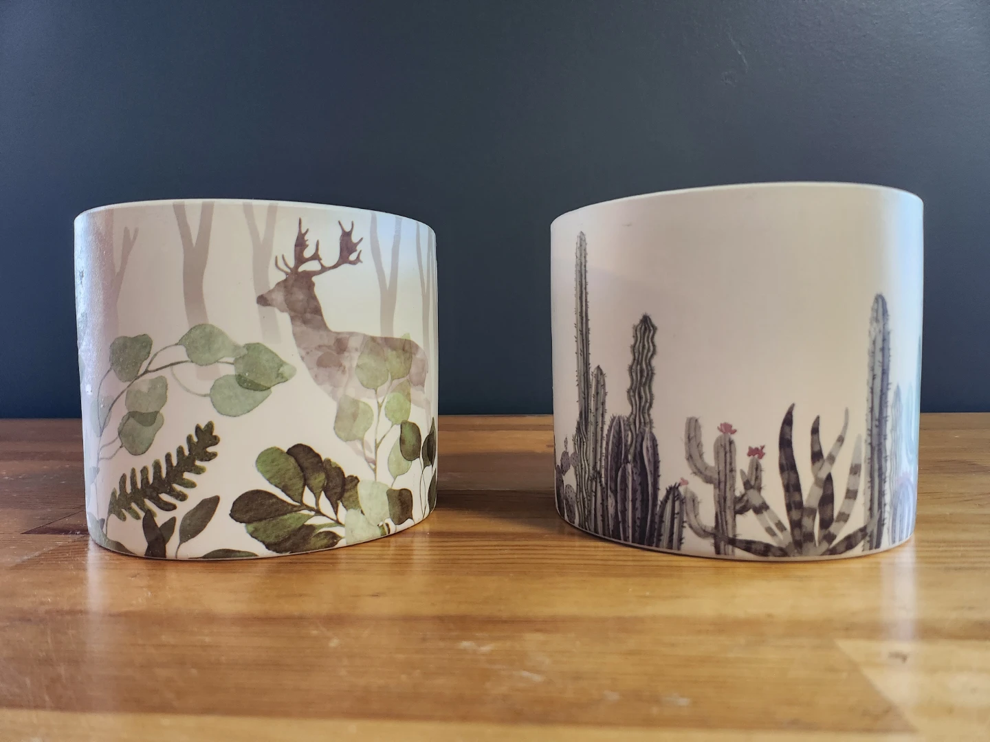 Torre & Tagus Home Collection Planter Set 🥕
