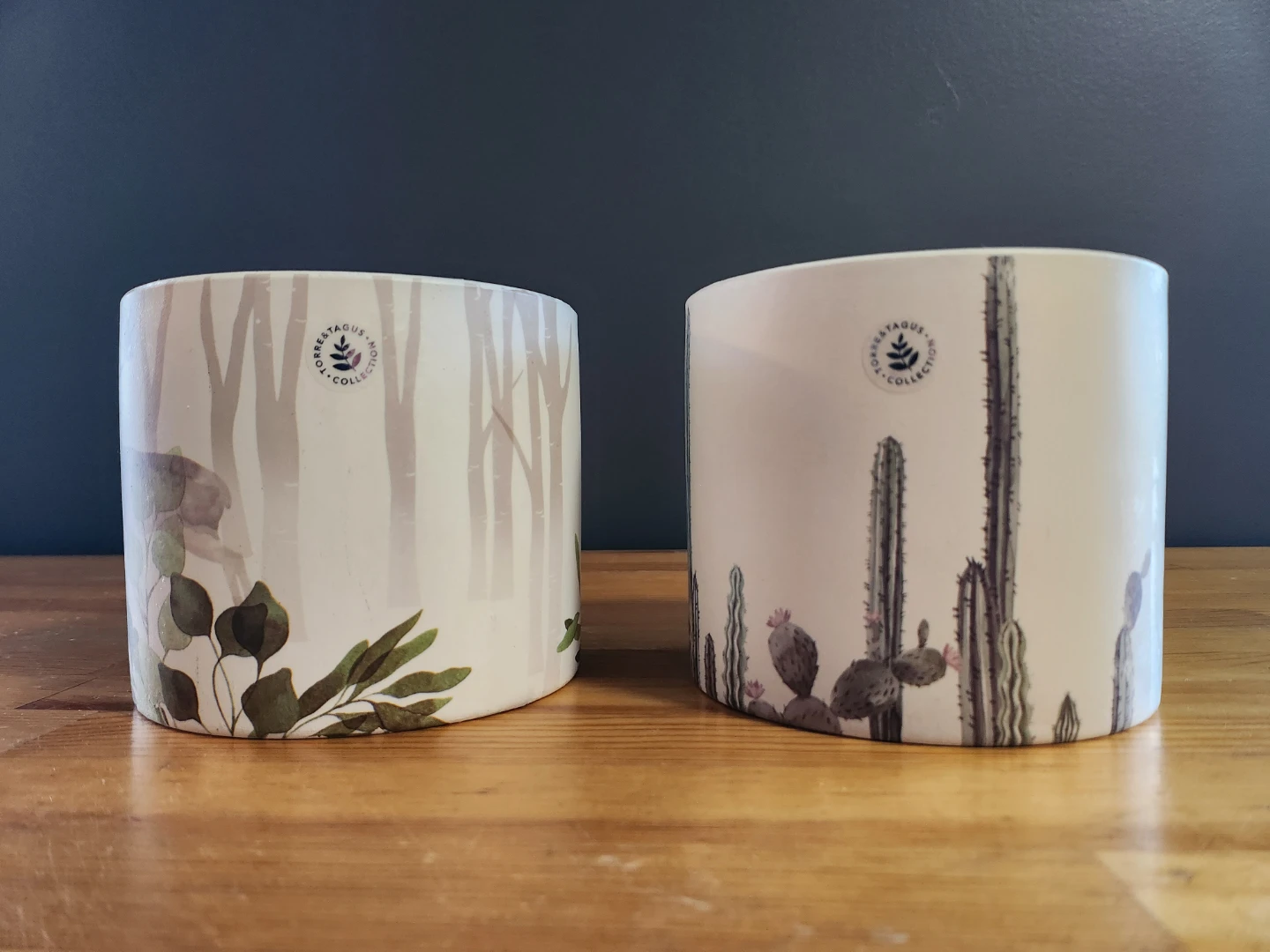 Torre & Tagus Home Collection Planter Set 🥕 - photo 2
