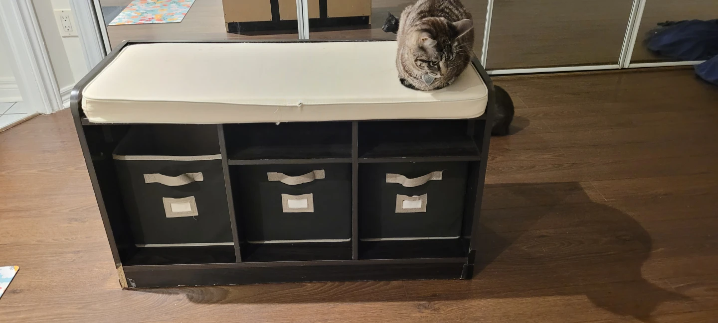 Entryway Bench with Storage Cubbies