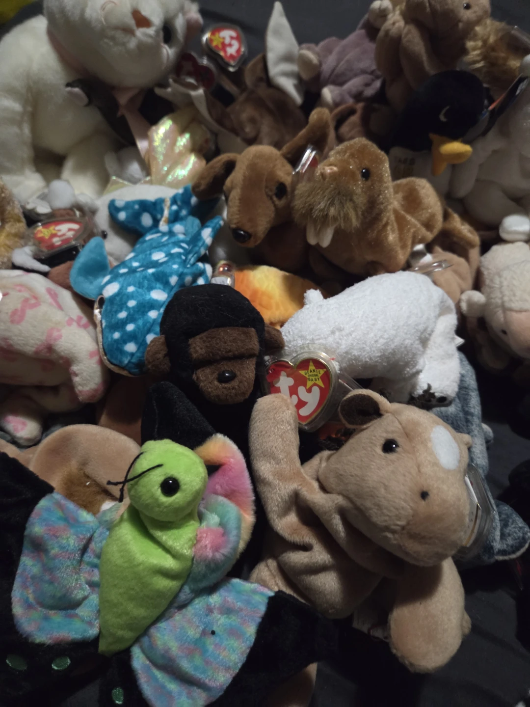Ty Beanie Babies Plush Toys - Assorted Animals
